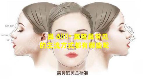 鼻 🐺 翼隆鼻常见的主流方式都有哪些呢